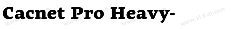 Cachet Pro Heavy字体转换